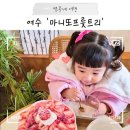 웅천로L | 여수 디저트 맛집 아이랑 생과일 주스&amp;빙수 데이트, 마니또프룻트리