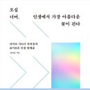 파파홍