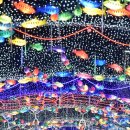화천산천어가공 세계일보