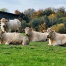 전원목장 이미지