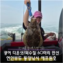 친구네낚시마트 | 인천 연안부두 에프원호 광어 외수질낚시 11kg 조과 대성공 후기