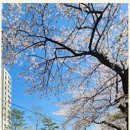 신용부동산공인중개사사무소 이미지