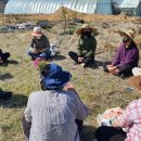 추풍령중학교 이미지