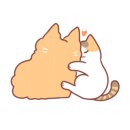 푸른전기;조명