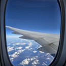 호텔 마중 | 싱가포르 여행 호텔 추천 5성급 아마라 호텔 후기