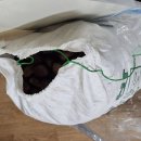 사운드렌더 | 10월 마무리 일기