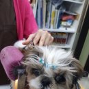 호동이PC 이미지