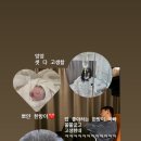 트리니움여성병원 이미지