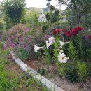 청송농원 이미지