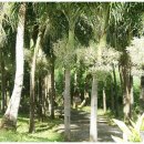 사자옆골 이미지