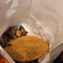 역전할머니맥주전주만성점 | 전주술집 추천 | 평화동 역전할머니맥주(역전할맥) 내돈내산 후기