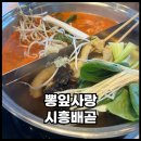 뽕잎사랑샤브샤브칼국수보쌈 | 배곧 샤브샤브 뽕잎사랑 야채무한리필 칼국수까지 배부른 후기