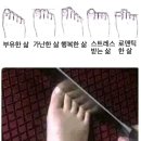 6월 ④ 이사, 논문 최종심사, 두바이 초콜렛, 인사이드아웃2