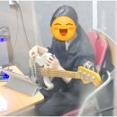 우쿨렐레(주간) | 천안기타학원 직장인 교대근무자도 배울 수 있어요 후기