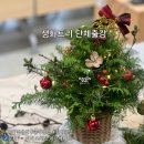 12/4 크리스마스 생화 트리 | 회사 단체 크리스마스 생화트리 원데이클래스 연말 송년회 출강