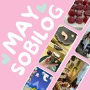 주식회사 알트탭게임스튜디오 | 5월 소비로그 (올웨이즈 상품 구매 찐후기, 알트탭스페이스, 문가포 오마카세,스트로베이32성수점...