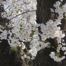 비래가양터널 주변 이미지