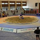 문경 씨름장 이미지