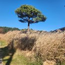 국원전세버스 협동조합 | 용인 우등버스대절 어울림버스 후기