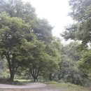 스토리텔링 역사 이미지