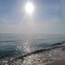 망상오토캠핑리조트 이미지