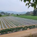 용지부자부동산공인중개사사무소 이미지