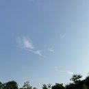 양평쭈꾸미 이미지