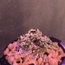 고속버스터미널 | [맛집] 고속버스터미널 맛집, 서래곱창, 솔직후기