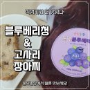 고사리재배 | 장아찌반찬 추천, 온도농장 블루베리청 고사리장아찌 솔직 후기