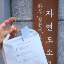 Soha 이미지