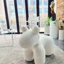 퍼피살롱 이미지