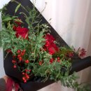 그린 독산 이미지