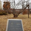 서울대학교농생명과학창업지원센터 이미지