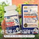 햇살마을 | 무릎관절영양제 추천 햇살이네마을 MSM 관절햇살 솔직후기 부모님선물 추천