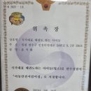 국가대표 태권도하는 아이들 태권도장 이미지
