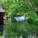 대왕농장 이미지