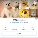 몽앤츄 이미지