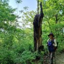 마장3리 이미지