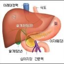 췌장암은 완치가 불가능한 질환인가? 이미지