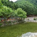 선바위자연캠핑장 이미지