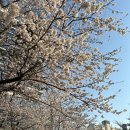 법무법인 변호사 로펌 추천, 법률 변호사 상담 비용 내돈내산 후기.. (^ㅣ발 광고 꺼져)
