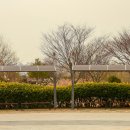 그 때 그 밴치 이미지