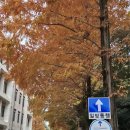 경상국립대학교 학생생활관칠암분관 이미지