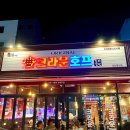 크라운호프배곧신도시점 | 크라운호프 일광신도시점 내돈내산 후기 일광술집