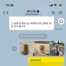 펫티시에 이미지