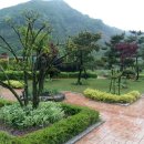 고산자연휴양림 이미지