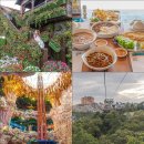 플러스카프라자 | 다낭 바나힐 투어 시간 케이블카 씨푸드