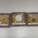 디저트의 들 디드루 이미지