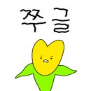 디마레풀빌라