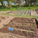 준오농장 이미지